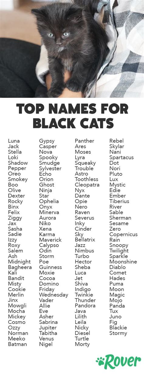 Over 160 Black Cat Names for Your Magical, Mystical Cat | Names for ...