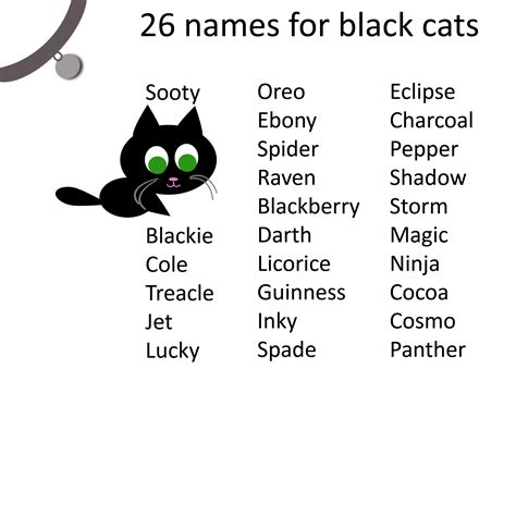 Cat care tips black cat names for your your black cat. | Names for ...