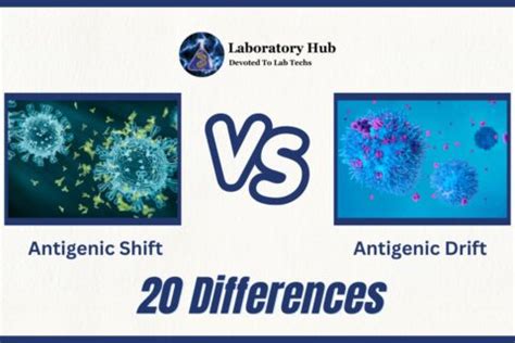 antigenic shift vs drift examples » Laboratory Hub