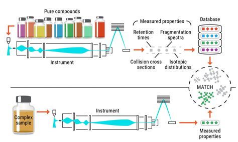 New approach to metabolomics research could prove game changer