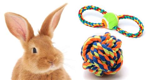 Best DIY Rabbit Toys - Tons of Bunny Fun, For Free!