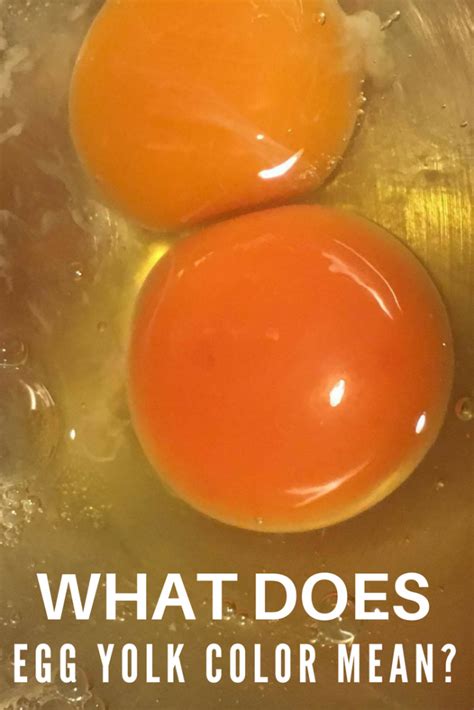 What Does Egg Yolk Color Mean?