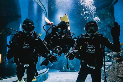 Cairns Aquarium Ticket with Dive with the Sharks Experience - Klook Canada