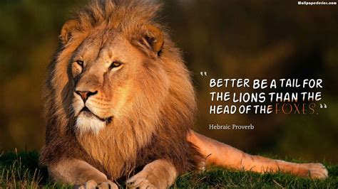 Lion Quotes HD Wallpapers - Top Free Lion Quotes HD Backgrounds ...