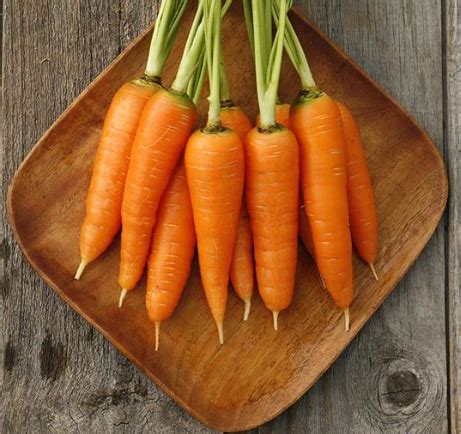 Danvers 126 Carrot Seeds