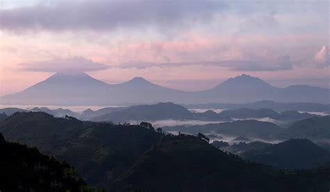 Virunga Mountains. - Gorilla Africa Safaris