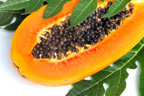 How to Grow and Harvest Papaya at Home in Under a Year