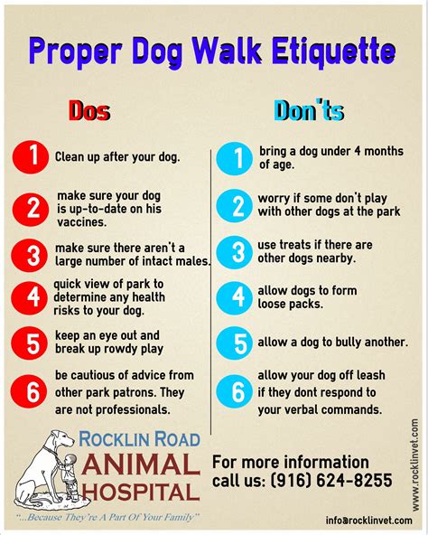 Dog Walking Etiquette | Rocklin Road Animal Hospital | Dog walking, Dog ...