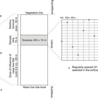 Study area and sampling scheme. Left: map of Caraguatatuba Bay; in ...