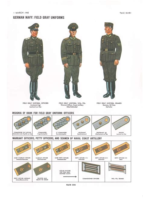 Plate XVII: German Navy: Field Gray Uniforms | Wwii uniforms, German ...