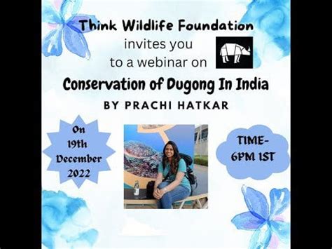 Dugong Conservation in India : r/Seacreatures