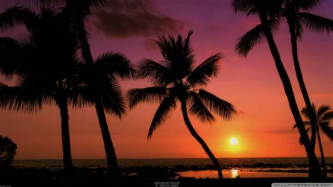 Tropical Beach Sunset Wallpaper - WallpaperSafari