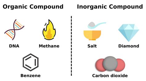 Unlocking the Wonders of Organic & Inorganic Chemistry: A Comprehensive ...