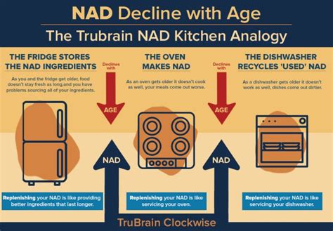 NAD+ Supplements Guide