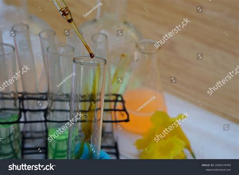 Science Experiment On Transparent Test Tubes Stock Photo 2249174765 ...