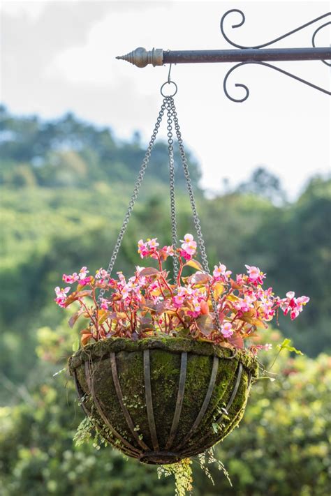 Creating Hanging Baskets | ThriftyFun