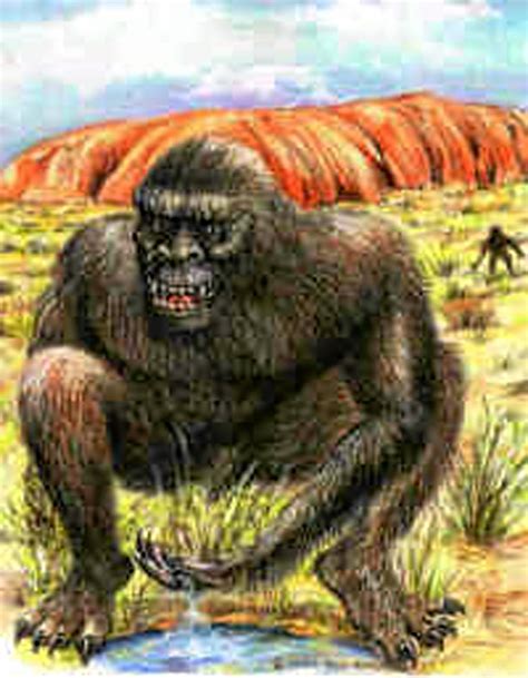 ASIO, Ipswich and the enduring yowie mystery | Queensland Times