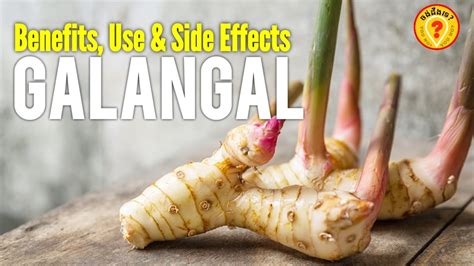 Health benefits of galangal root: Use and Side Effects 1440p - YouTube