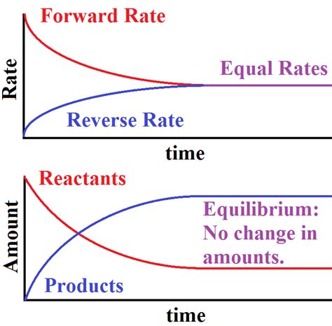 What determines when a system reaches equilibrium? What observations ...