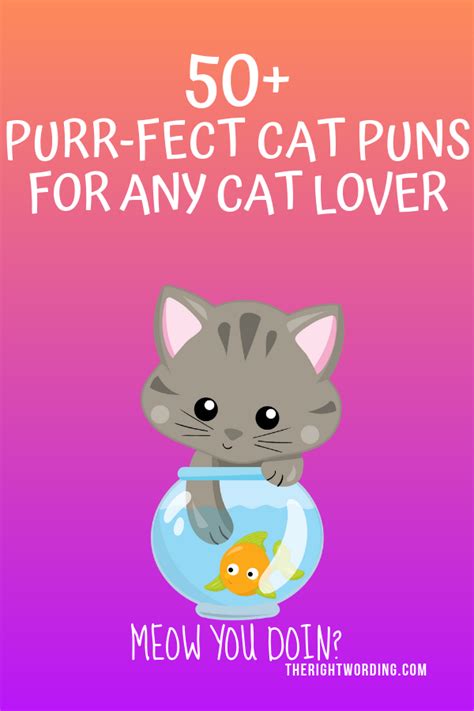 50+ Hiss-terically Purr-fect Cat Puns For Any Cat Lover