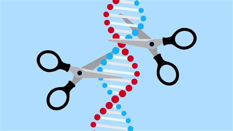 4. Techniques genes