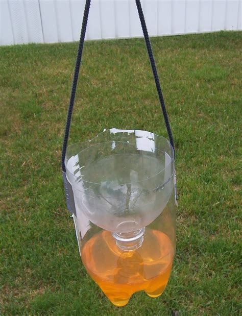 The Wild Domestic: An effective, homemade wasp/fly trap, for about 20 ...