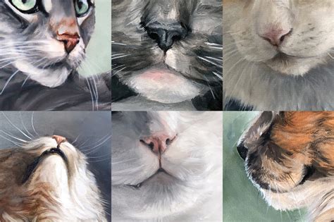 Ultimate Guide: How To Draw & Paint Cat Noses