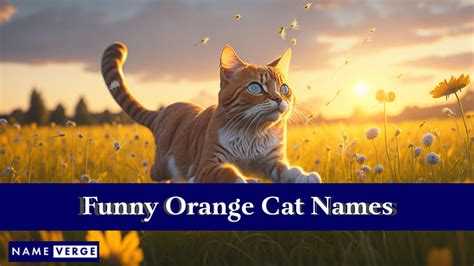 Orange Cat Names: 555+ Unique Names For Your Ginger Cats