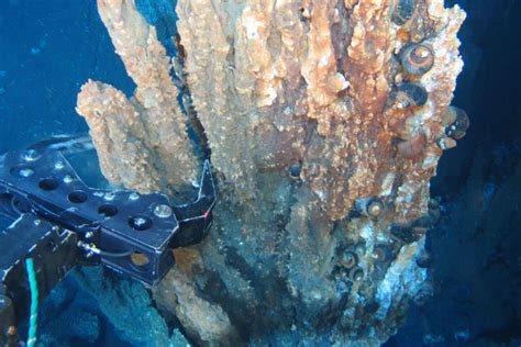 Le nouvel eldorado minier est au fond des mers