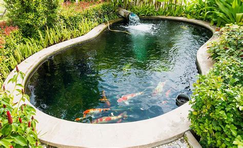 How to Build a Fish Pond - The Home Depot