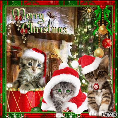 Christmas kittens - GIF animé gratuit - PicMix