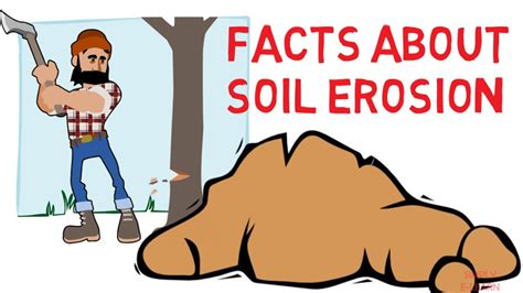 Soil erosion facts - How to prevent soil erosion - Simply E-learn ...