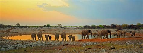 The Complete Guide to Etosha National Park - Tripfuser Travel Blog ...