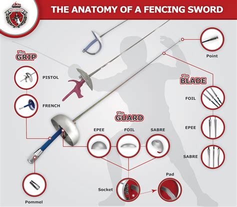 The anatomy of a fencing sword - Academy of Fencing Masters Blog