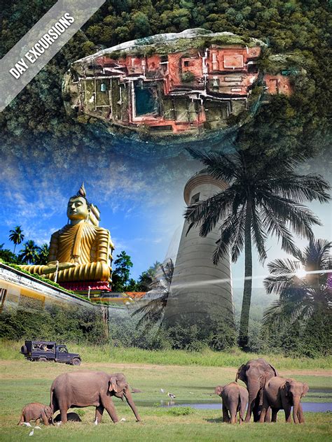 Tour Packages In Sri Lanka | Budget Tour Package Sri Lanka | Family ...