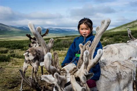 Mongolia's Mystical Tsaatan Reindeer People | NOMADasaurus