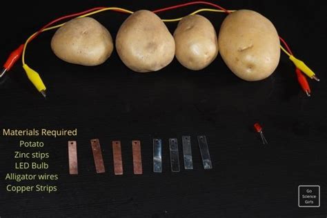 Potato Light Bulb Science Fair Project | Shelly Lighting