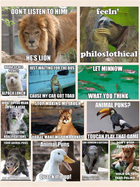 Animal puns | Funny animal jokes, Animal puns, Animal jokes