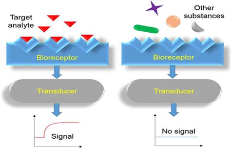 Mechanism of enzymatic reaction | Download Scientific Diagram