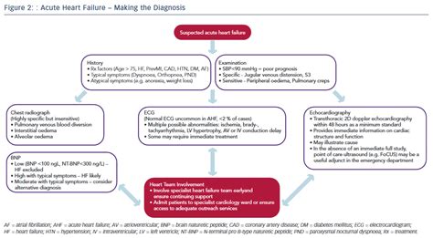 Acute Heart Failure – Making the Diagnosis | Radcliffe Vascular