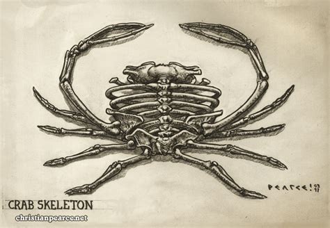 Christian Pearce: Crab Skeletons