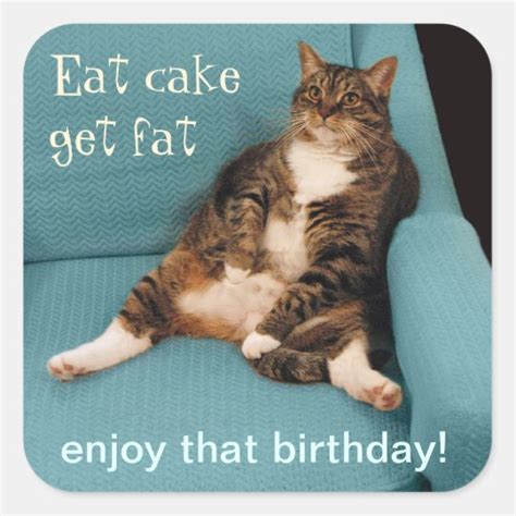 Funny Fat Tabby Cat Eat Cake Get Fat Square Sticker | Zazzle.com