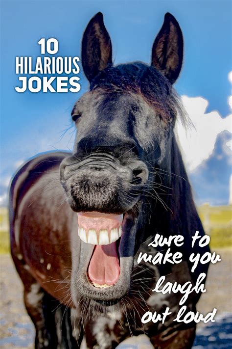 Quotes Hilarious Funny Jokes - Wall Leaflets