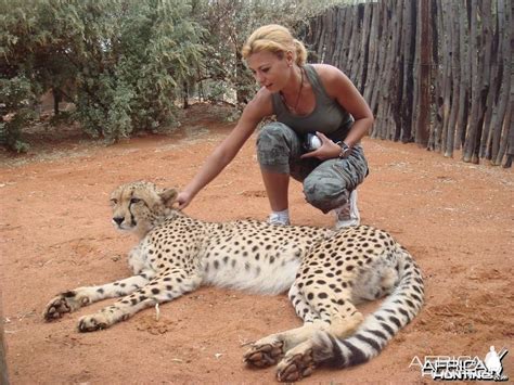 Cheetah | AfricaHunting.com