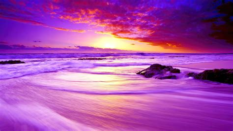 Purple Beach Sunset 4K HD Wallpapers | HD Wallpapers | ID #31905