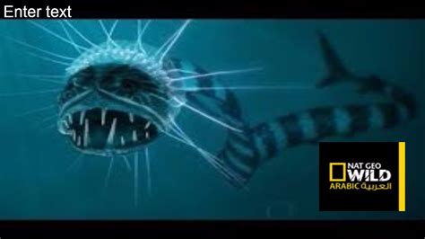 Sea Monsters Octopus Deep Ocean Nat Geo Documentary HD - YouTube