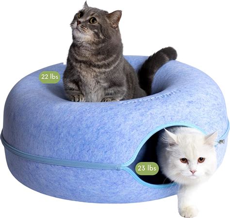 Amazon.com : CATTASAURUS Peekaboo Cat Cave for Multiple & Large Cats Up ...