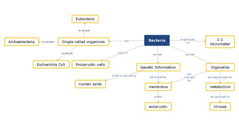 Biology Concept Map Complete Guide With 30 Examples Edrawmind | Images ...