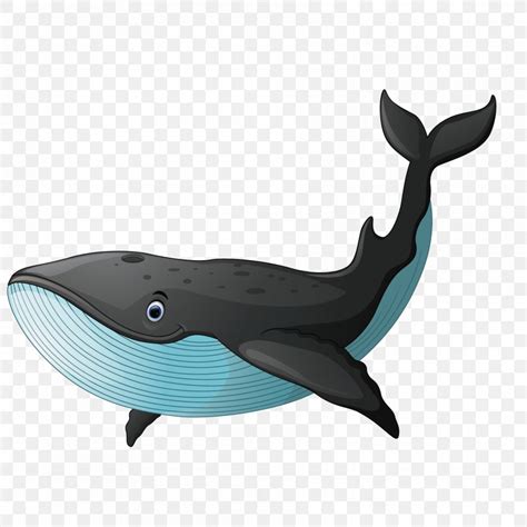 Black Whale, PNG, 1800x1800px, Sperm Whale, Cartoon, Dolphin, Drawing ...