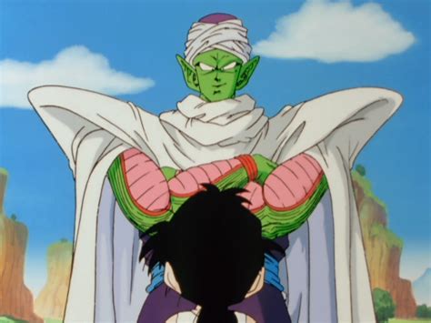 Piccolo And Gohan Training